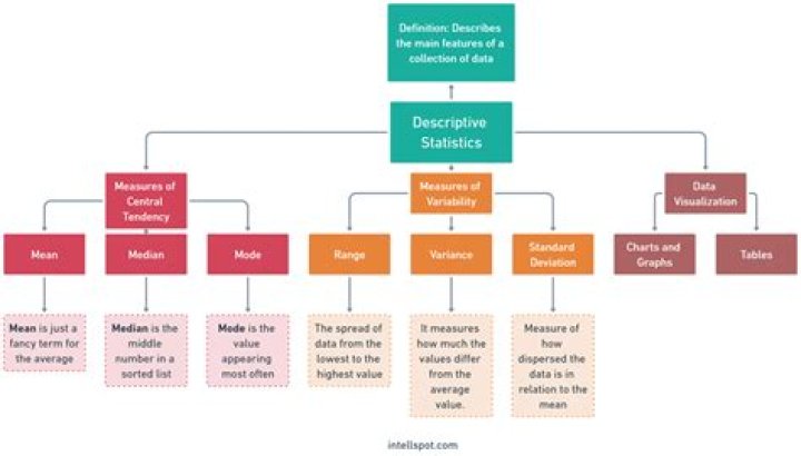 What are the two branches of statistical methods in psychology?
