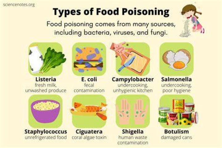 What are three common food poisoning bacteria?