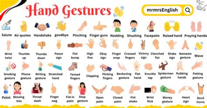 What are two synonyms gesture?