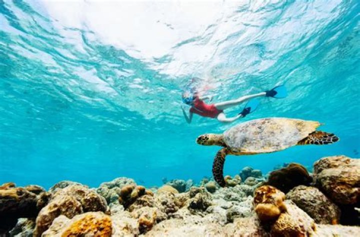 What can you do in Nusa Dua for a day?