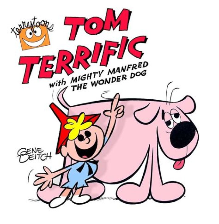 What cartoon was Tom Terrific?