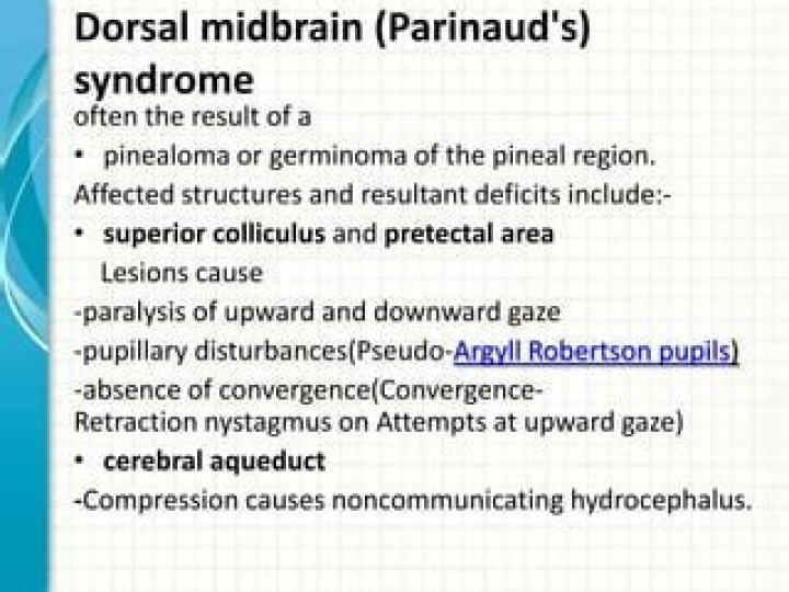 What causes dorsal midbrain syndrome?