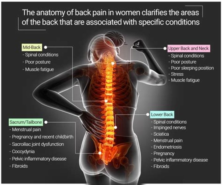 What causes lower abdominal pain and lower back pain in females?