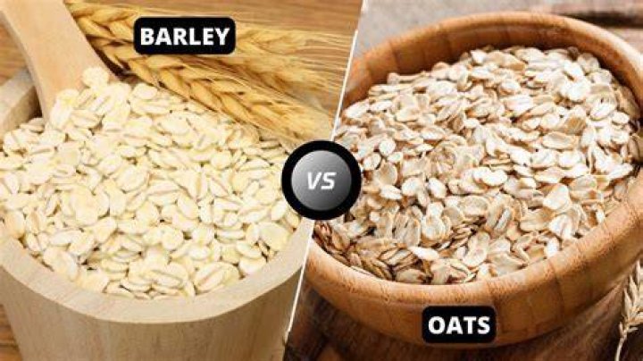What cereal is made from barley?