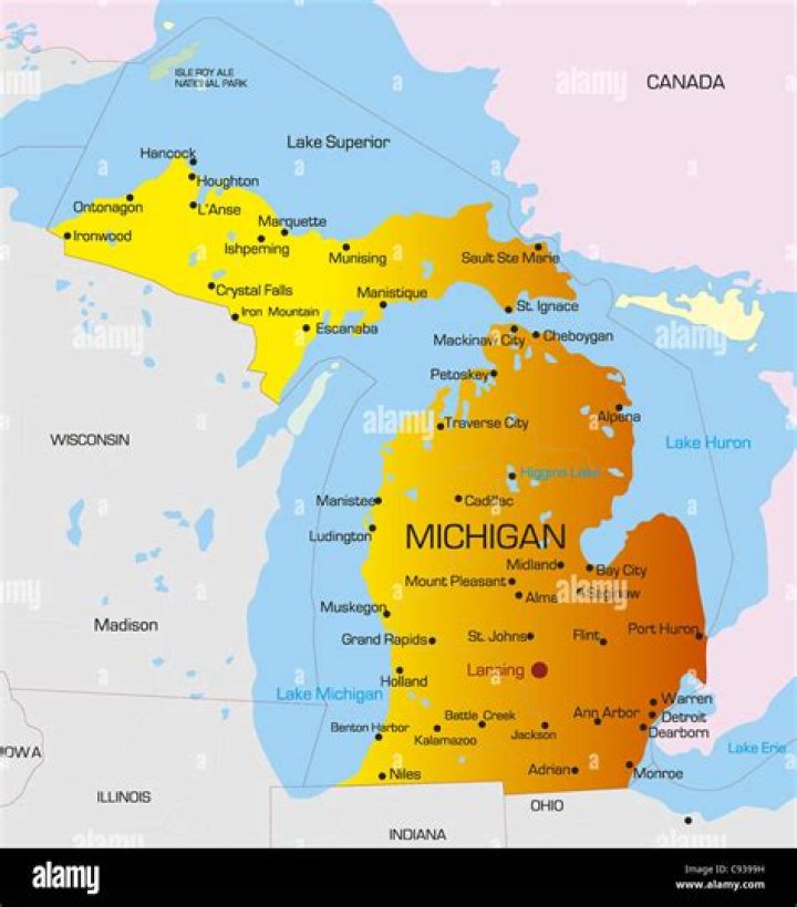 What city is Michigan State University located in?