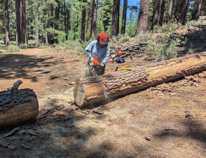 What college has the best forestry program?