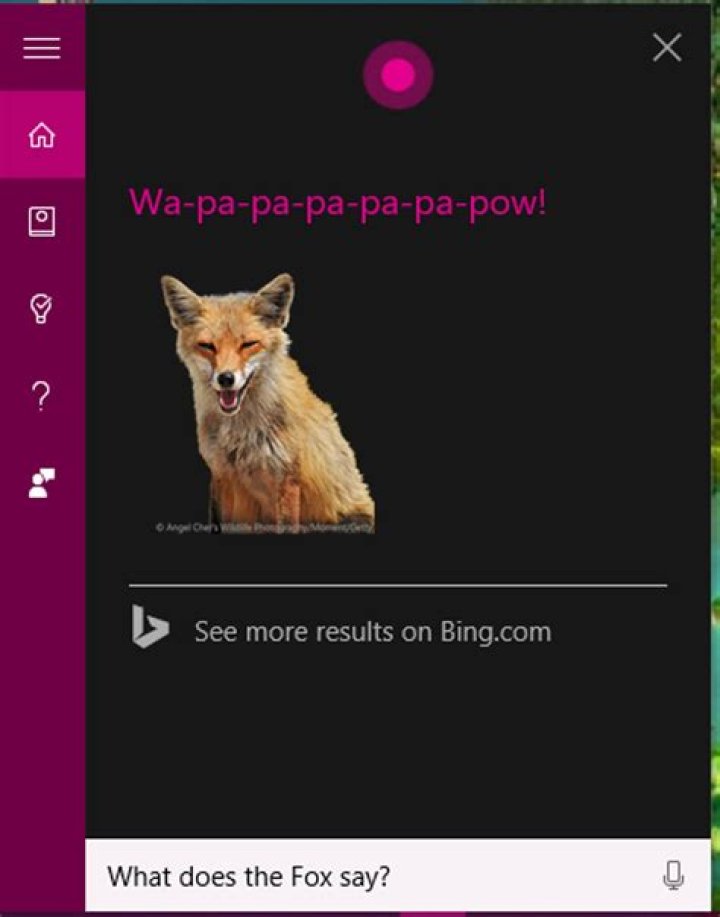 What cool things can Cortana do?