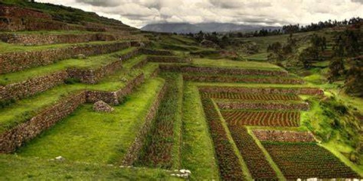 What did Inca agriculture depend on?