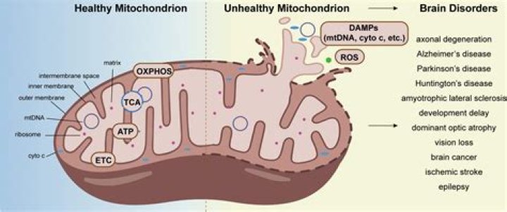 What disorder is a defect in ATP production in mitochondria?