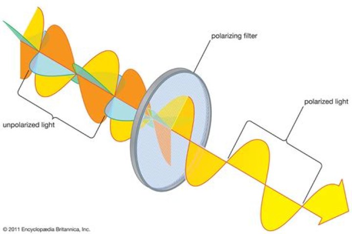 What do you mean by unpolarized light?
