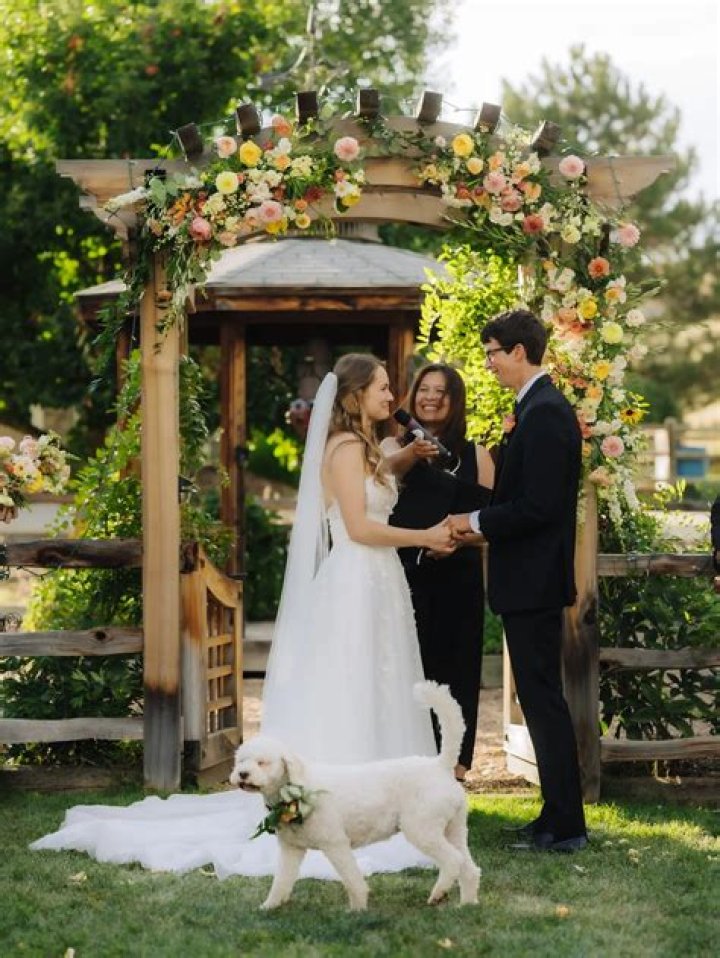 What do you say at a wedding dog?