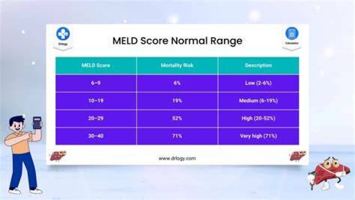 What does a MELD score of 34 mean?
