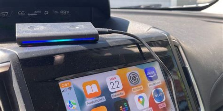 What does an echo auto do?