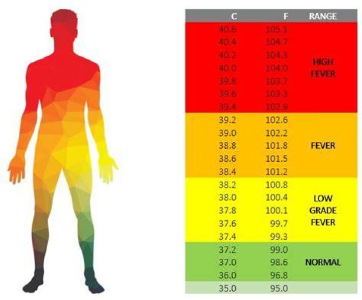 What does an elevated body temperature indicate?