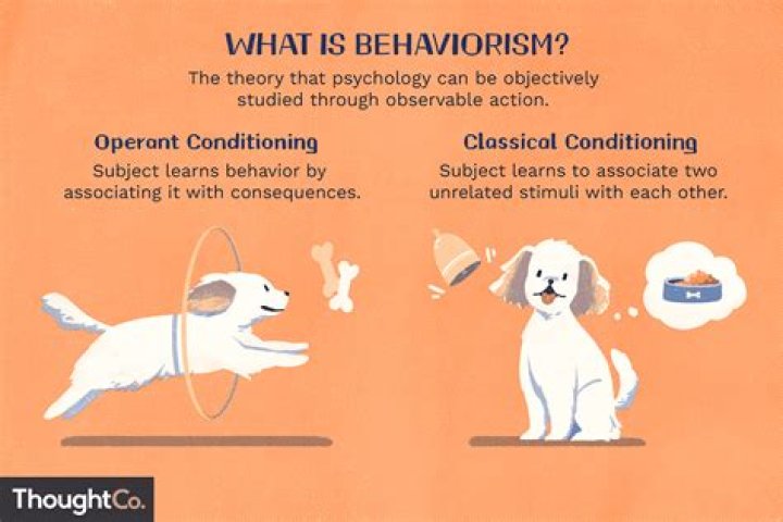 What does behaviorism and cognitive psychology have in common?