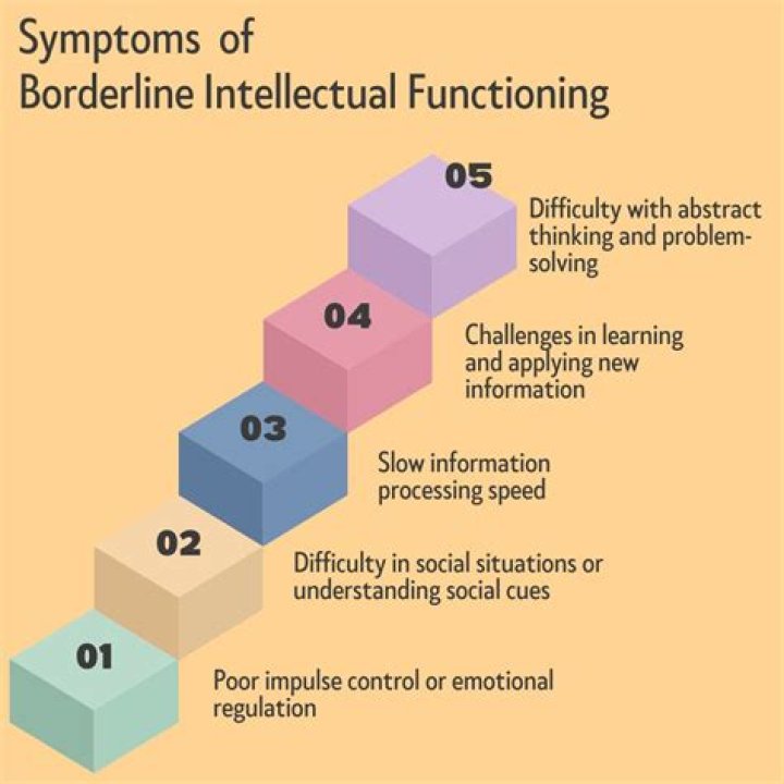 What does borderline intellectual functioning look like?