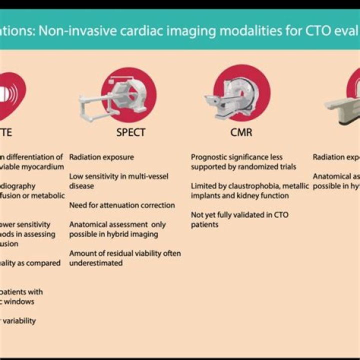 What does CTO mean in healthcare?