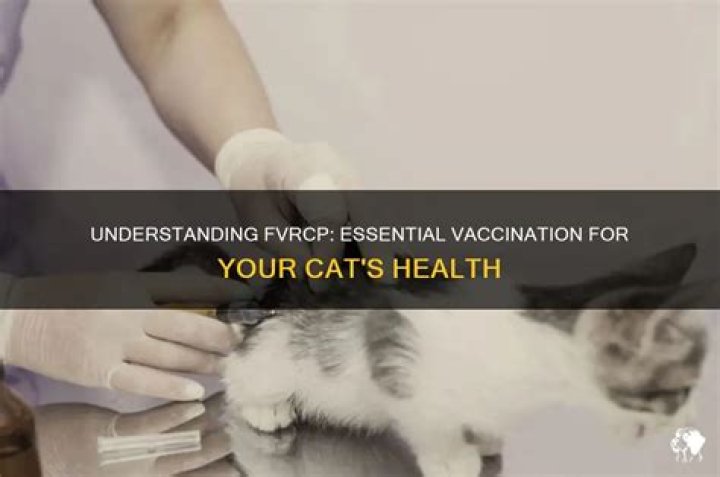 What does Fvrcp stand for?