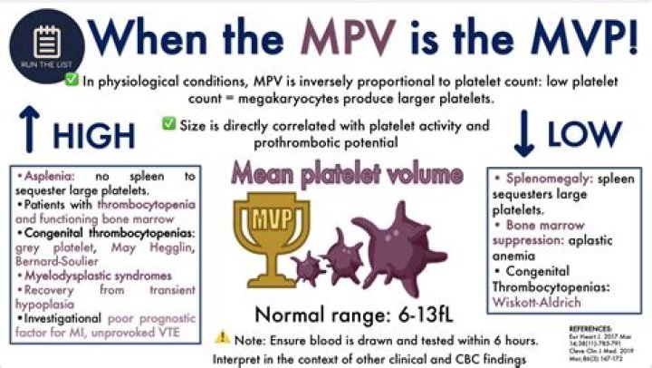 What does it mean to have giant platelets?