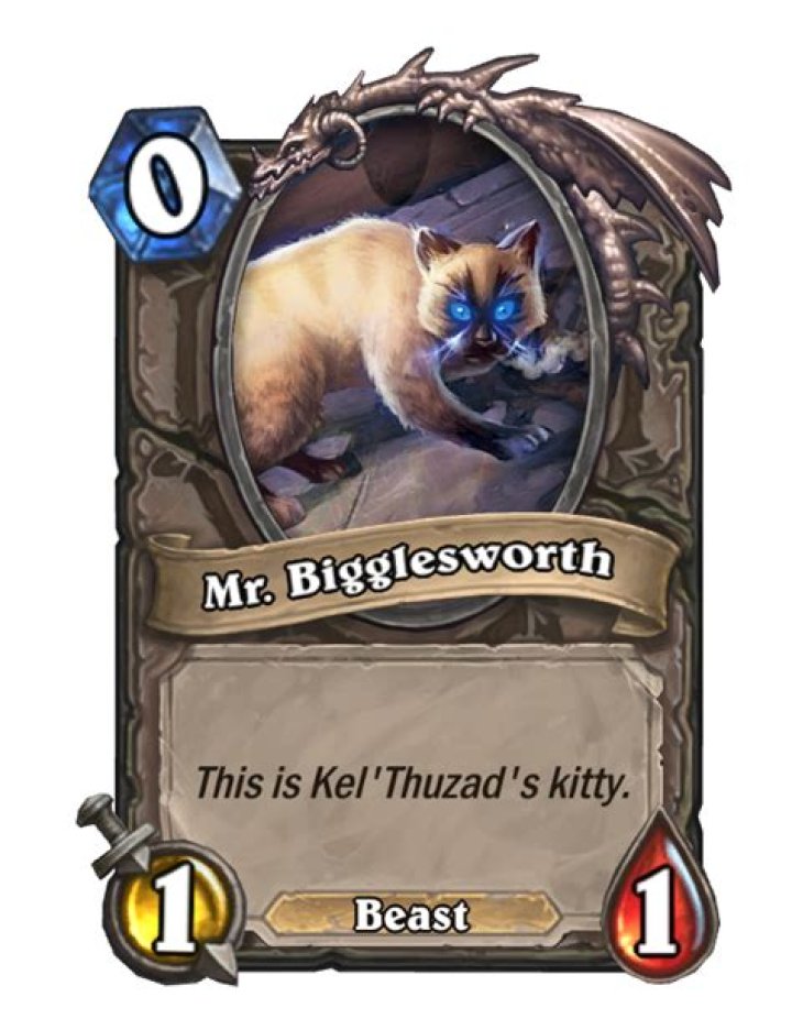 What does Mr Bigglesworth do in Hearthstone?