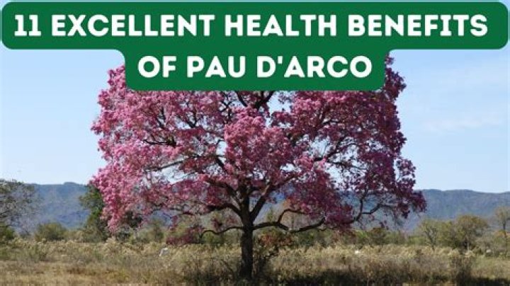 What does Pau d Arco do for the body?