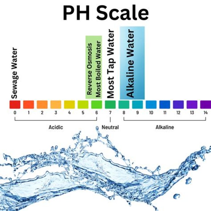 What does PHS Vancouver mean?