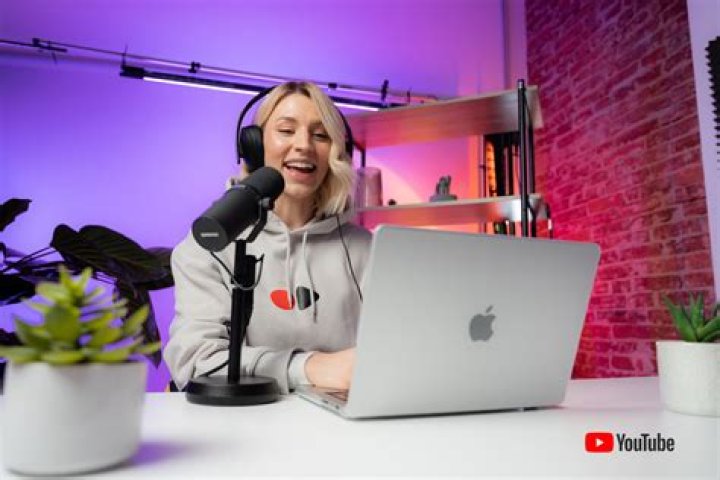 What does standard YouTube license mean?