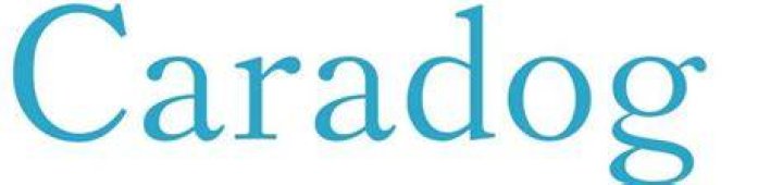 What does the name Caradog mean?