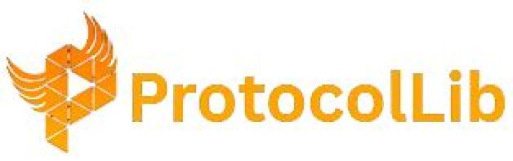 What does the ProtocolLib plugin do?