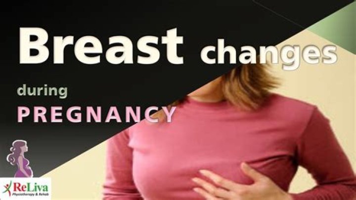 What does your breast look like in early pregnancy?