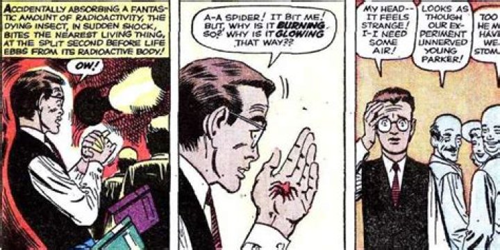 What happened to the spider that bit Spider-Man?