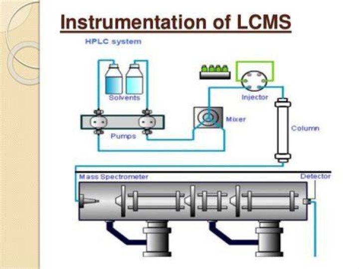What hymnal does LCMS use?