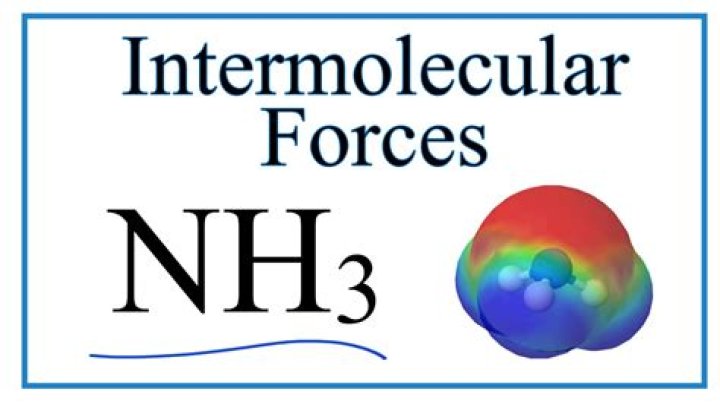 What intermolecular force is in NH3?