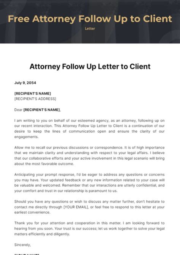 What is a client in law terms?