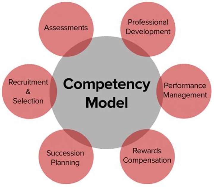 What is a competency model in project management?