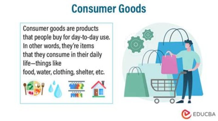 What is a consumer in economics?
