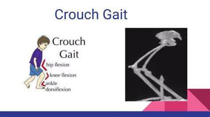 What is a crouch gait?