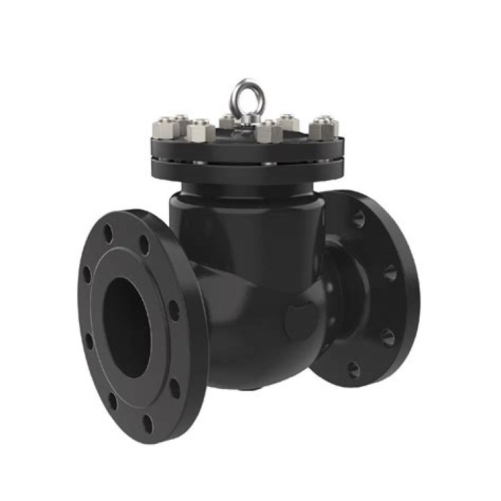 What is a full bore check valve?