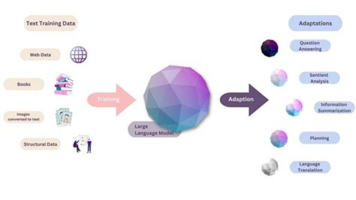 What is a language algorithm?