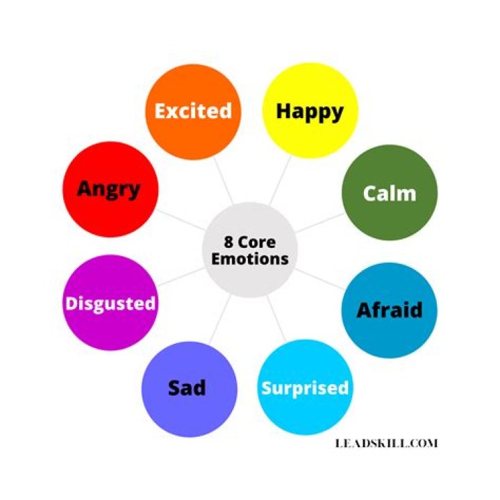 What is a list of different emotions?