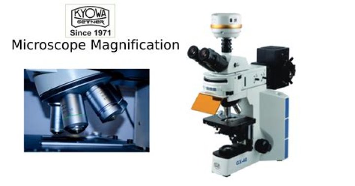 What is a magnification in a microscope?