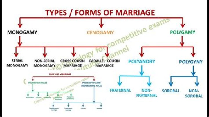 What is a marriage according to law?
