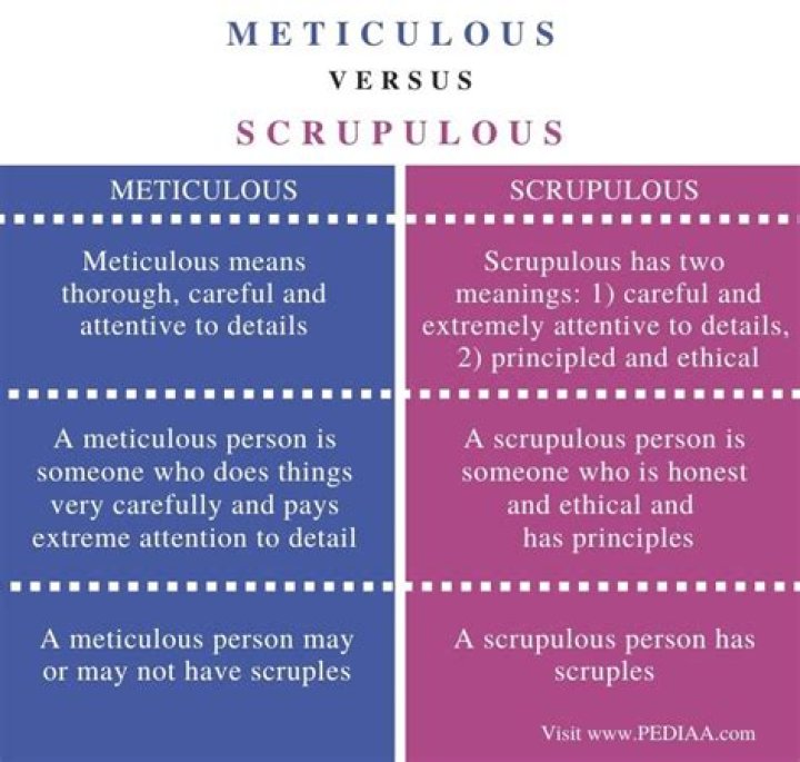What is a meticulous person?