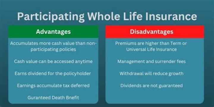 What is a participating insurance contract?