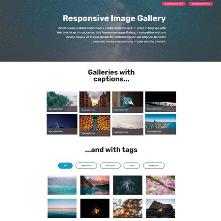 What is a photo gallery on website?