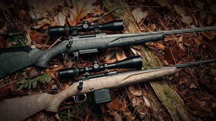 What is a Ruger 10 22 used for?