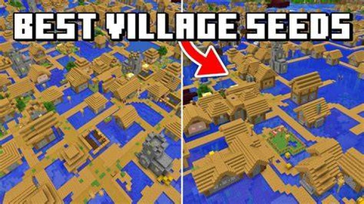 What is a seed in Minecraft to spawn in a village?
