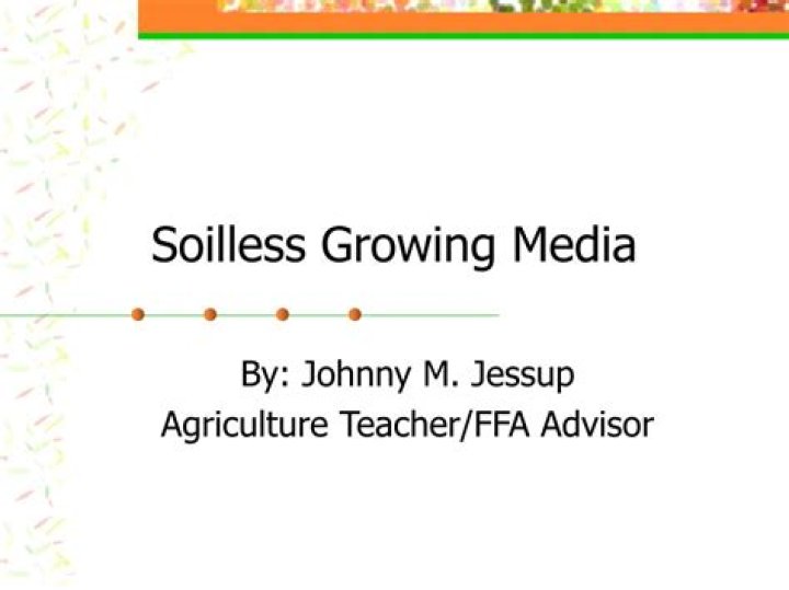 What is a soilless growing media?