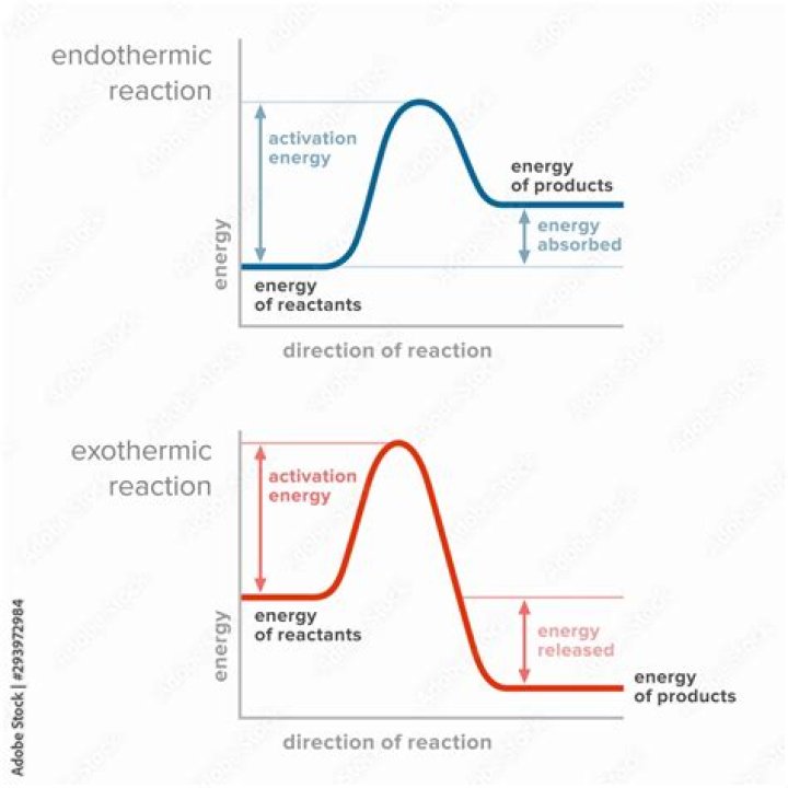 What is activation energy in endothermic and exothermic reactions?