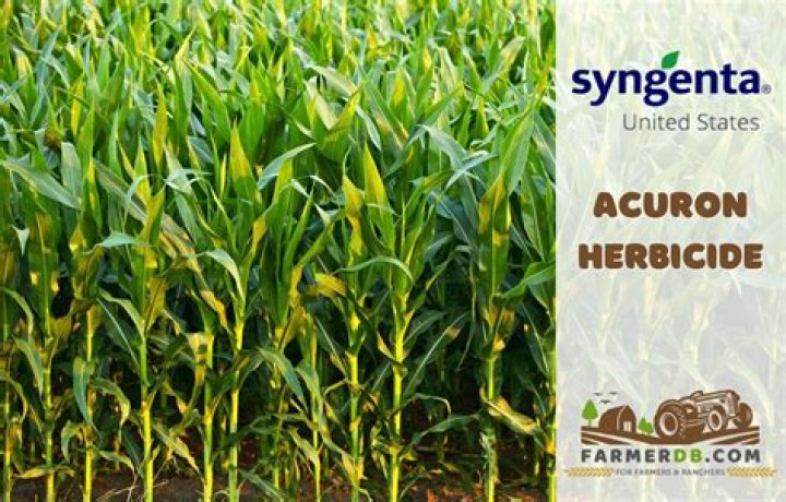 What is Acuron herbicide?